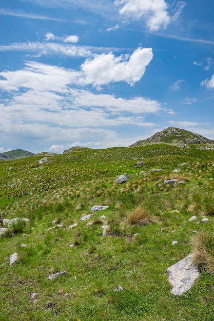 Malownicze wysokie góry na północy Czarnogóry w Parku Narodowym Durmitor