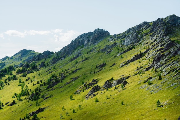 Malowniczy Alpejski Krajobraz Z Zielonym Zboczem Górskim Z Lasem Iglastym I Dużymi Turniami. żywy Zielony Krajobraz Górski Z Drzewami Iglastymi I Dużymi Skałami Na Zboczu Wzgórza. Duże Kamienie I Drzewa Na Stromych Zboczach.