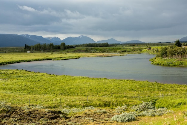 Malowniczy krajobraz z zieloną przyrodą w Islandii latem.