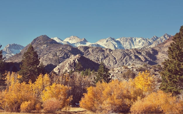 Malowniczy widok na góry Sierra Nevada. spadek krajobrazu liści. Kalifornia, USA.