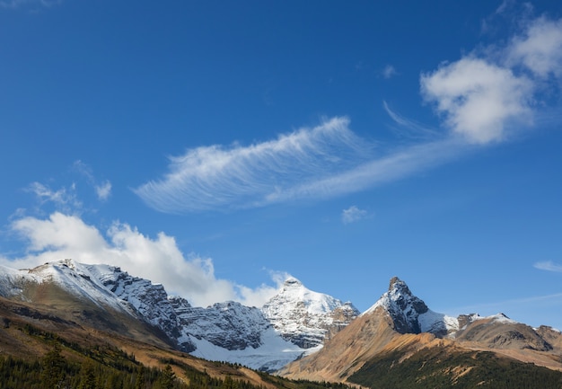 Malowniczy widok na góry w Canadian Rockies w sezonie letnim