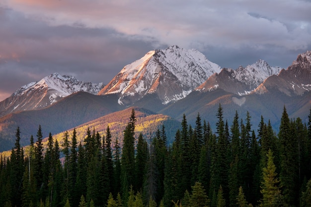 Malowniczy Widok Na Góry W Canadian Rockies W Sezonie Letnim