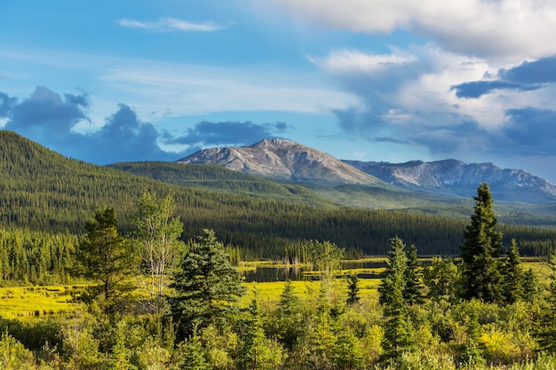 Malowniczy Widok Na Góry W Canadian Rockies