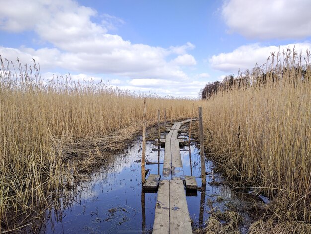 Malowniczy widok na jezioro na tle nieba