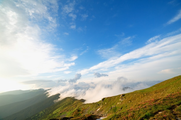 Malowniczy widok na Park Narodowy Smoky Mountains