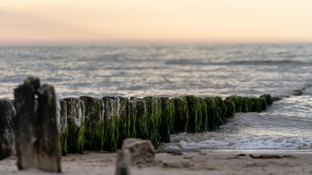 Malowniczy widok na skały pokryte zielonym mchem na plaży