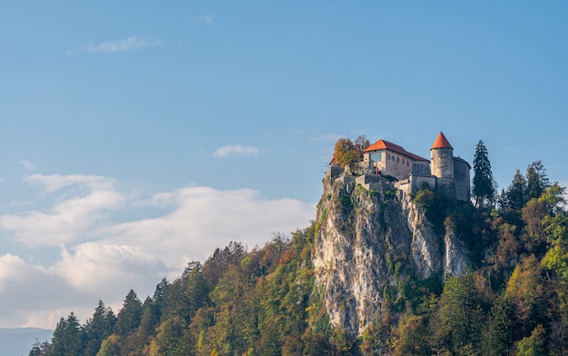 Zdjęcie malowniczy widok na zamek bled.