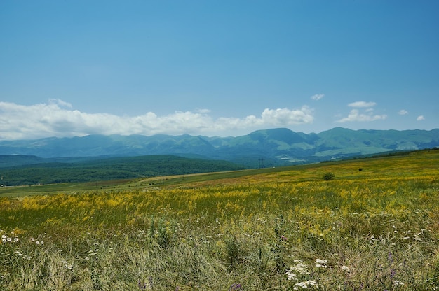 Malowniczy Widok Na Zielone łąki Duża Góra Dagestan