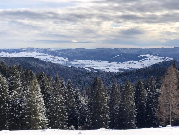 Malowniczy widok pokrytych śniegiem gór na tle nieba