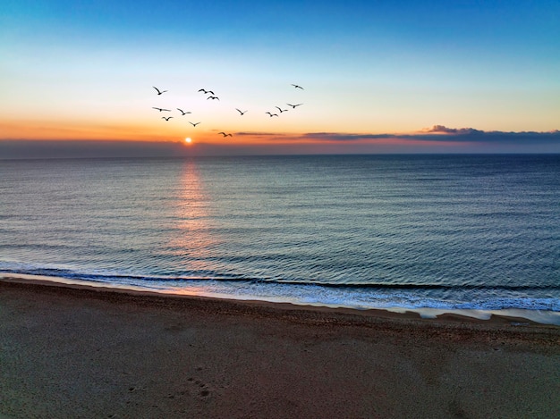 Malowniczy widok ptaków latających nad spokojnym morzem o wschodzie słońca