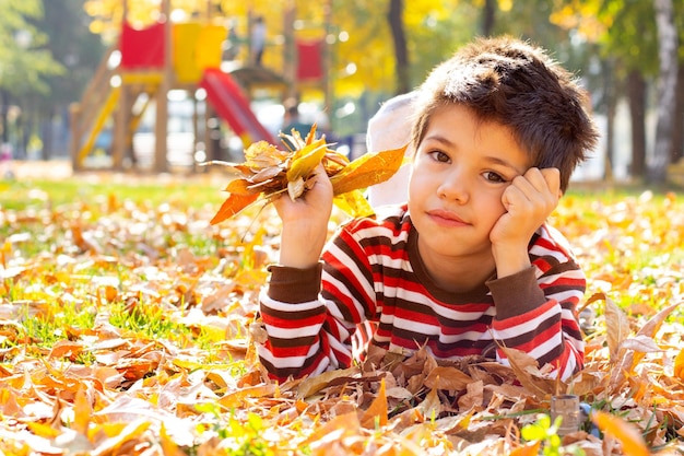 Mały chłopiec bawi się podczas spaceru po lesie w słoneczny jesienny dzień Dziecko bawi się liśćmi klonu Aktywny rodzinny czas na łonie natury Wędrówki z małymi dziećmi Szelest liści