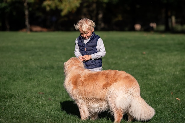 Mały chłopiec gry i szkolenia psa Golden Retriever w polu w letni dzień razem Cute dziecko z portretem doggy domowych w przyrodzie