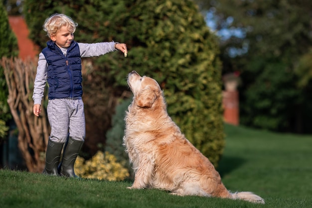 Mały chłopiec gry i szkolenia psa Golden Retriever w polu w letni dzień razem Cute dziecko z portretem doggy domowych w przyrodzie