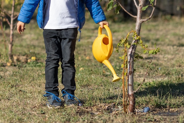 Mały chłopiec podlewa drzewo owocowe z konewką w jesiennym ogrodzie Dziecko pomaga rodzicom dbać o rośliny Uprawiać owoce w ogrodzie Dzieci Aktywność na świeżym powietrzu w domu Selektywne skupienie