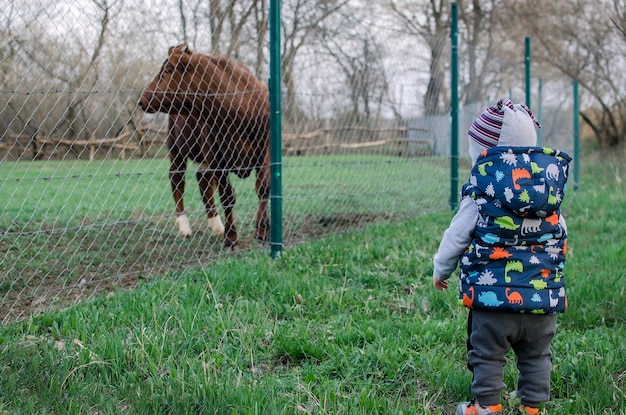 Zdjęcie mały chłopiec stoi przy zagrodzie z krową dzieci i zwierzęta we wsi