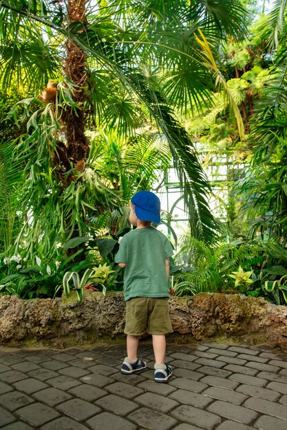 Mały Chłopiec W Szklarni Palm W Ogrodzie Botanicznym