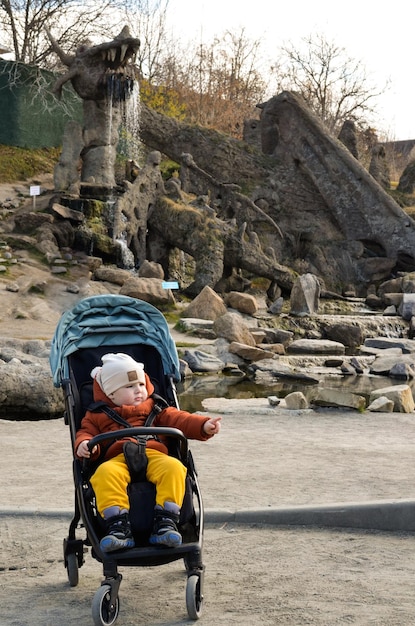 Mały chłopiec w wózku na tle skalistej fontanny gdzieś wskazuje