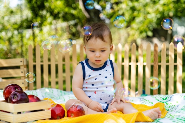 Mały chłopiec zbieranie jabłek w sadzie Cute baby boy gospodarstwa świeżych owoców Adorable dziecko z czerwonych jabłek