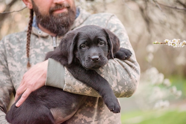 Mały czarny szczeniak Labrador retriever Pies w ramionach brodatego mężczyzny
