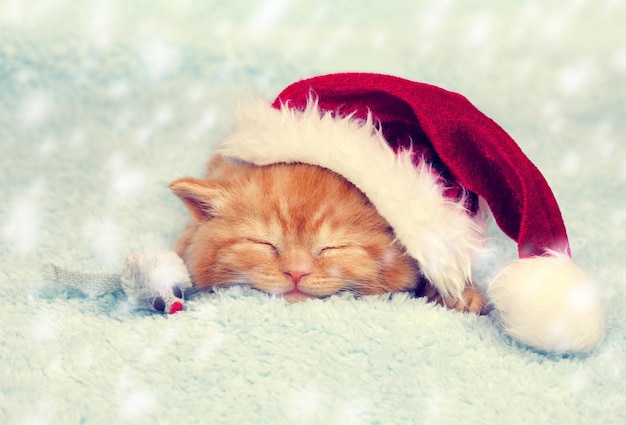 Mały czerwony kotek w czapce Mikołaja śpi na kocu