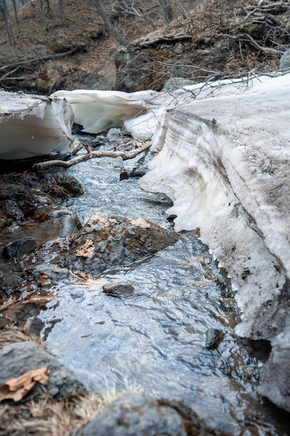 Mały górski potok pokryty lodem Środowisko Dzika przyroda