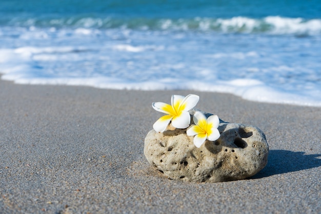Mały Kamień O Interesującej Gładkiej Formie Jest Myty Przez Fale Na Plaży. Spokój I Relaks Według Koncepcji Morza