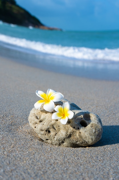 Mały kamień o interesującej gładkiej formie jest myty przez fale na plaży. Spokój i relaks według koncepcji morza