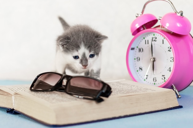 Zdjęcie mały kotek na otwartej książce w pobliżu okularów i zegara, czytając książkę