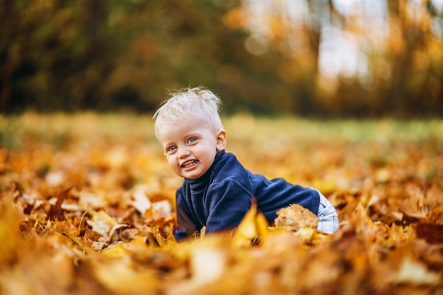 Mały ładny chłopczyk bawić się na świeżym powietrzu w parku w okresie jesiennym.
