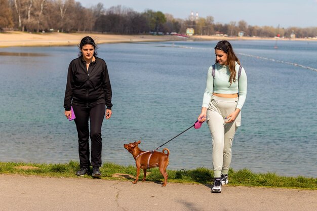 Zdjęcie mały pies rasy pinscher spacerujący z właścicielem nad jeziorem