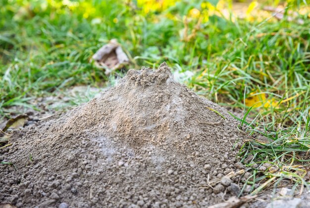 Mały płonący wulkan. Dym ze sterty ziemi. Natura na zewnątrz.