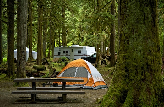Mały pomarańczowy namiot i przyczepa turystyczna w tle Głęboki las Kolekcja zdjęć kampingu na świeżym powietrzu