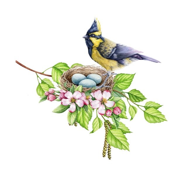 Mały ptak ogrodowy na gnieździe Akwarela ilustracja Sikora himalajska na gnieździe w kwiatach