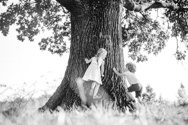 Mały śliczny maluch chłopiec i dziewczynka bawią się i wspinają na drzewo w lecie leśne dzieci na dużym