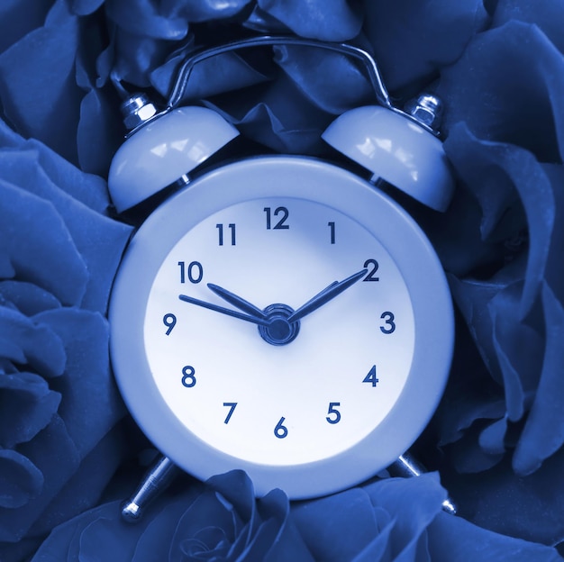 Mały słodki budzik otoczony główkami róż fantomowy klasyczny niebieski kolor