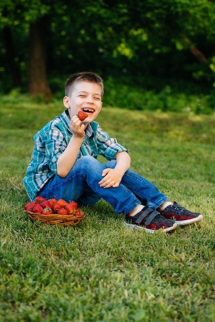 Mały słodki chłopiec siedzi z dużym pudełkiem dojrzałych i pysznych truskawek. Żniwa. Dojrzałe truskawki Jagody naturalne i pyszne.