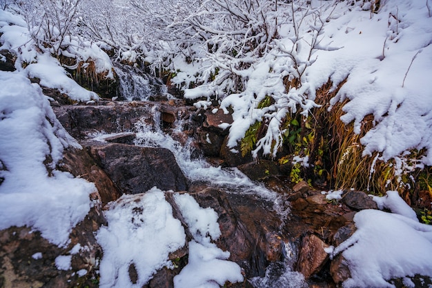 Mały strumień wśród mokrych kamieni i białego śniegu w malowniczych Karpatach na Ukrainie
