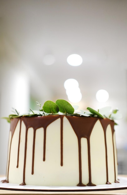 Mały tort ozdobiony czekoladą i zielonymi jadalnymi listkami