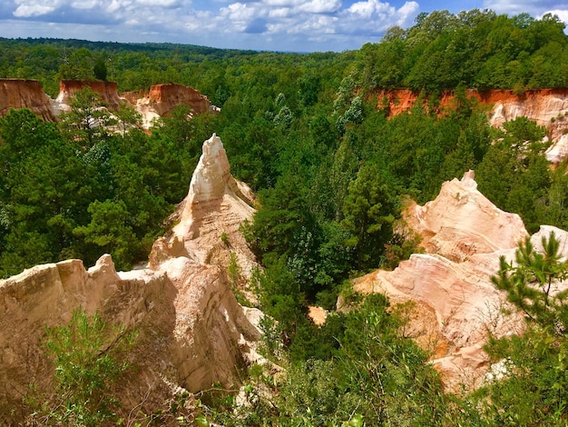 Zdjęcie mały wielki kanion