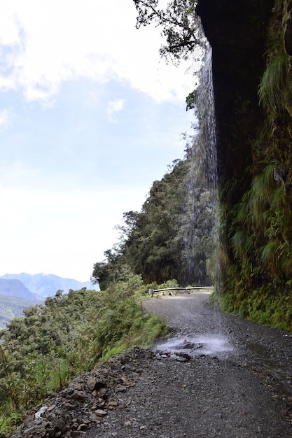 Mały wodospad na drodze śmierci Camino de la Muerte Yungas North Road między La Paz a Coroico Boliwia