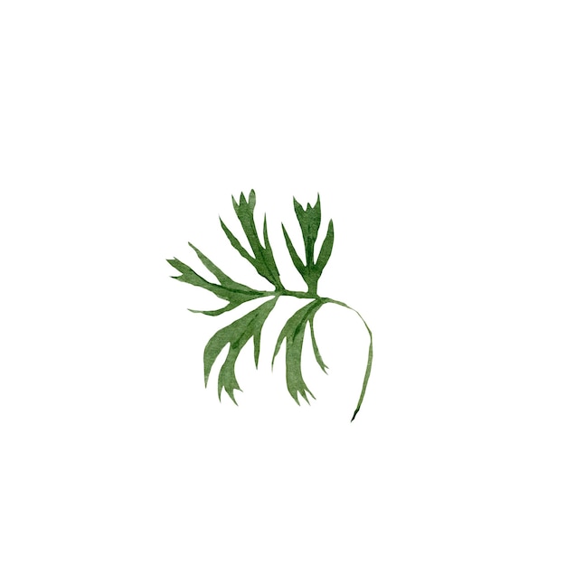 Mały zielony ładny liść. Ładna ilustracja akwarela. Ręcznie rysowane obraz do projektowania.