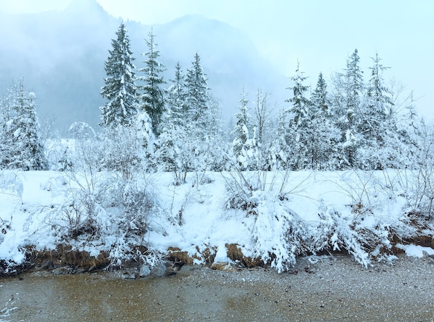 Zdjęcie mały zimowy strumień z ośnieżonymi drzewami na brzegu i góry we mgle.