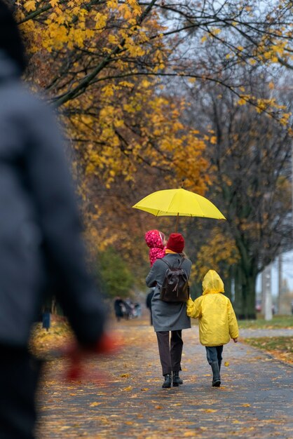 Mama i dwoje dzieci idą w deszczu aleją w parku na żółtym tle drzew. Rama pionowa. Widok z tyłu.