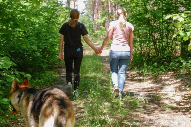 Mama z nastoletnią córką i psem spacerują po letnim lesie Spacer w lesie Niemiecki pasterz strzeże właścicieli podczas spaceru