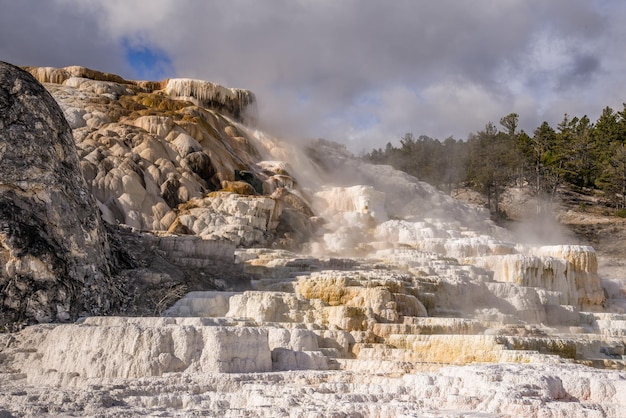 Mammoth Hot Springs W Parku Narodowym Yellowstone