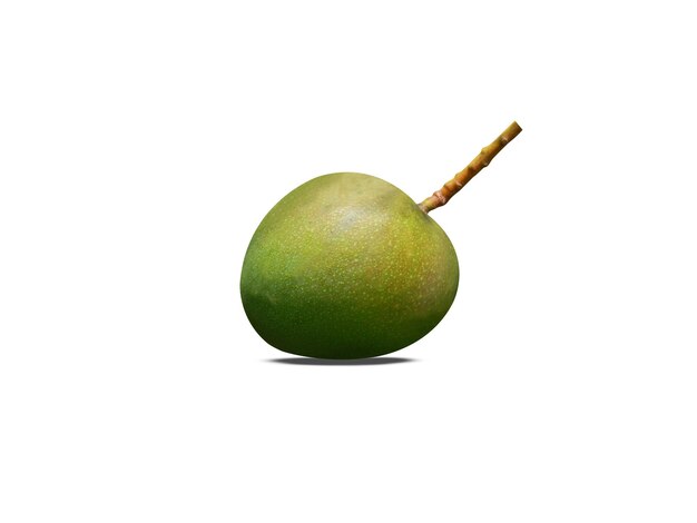 Mango lub Mangifera indica są zazwyczaj słodkie, surowe, a dojrzałe mango można jeść na różne sposoby