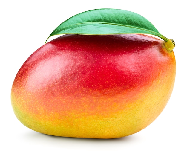 Mango Na Białym Tle Biały Ze ścieżką Przycinającą