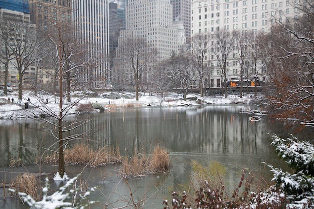 Manhattan NY USA 31 stycznia 2017 Dużo śniegu w Central Parku
