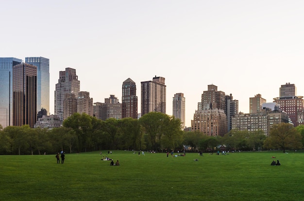 Manhattan skyline i zielony trawnik w Central Park West w Nowym Jorku, NYC, USA.