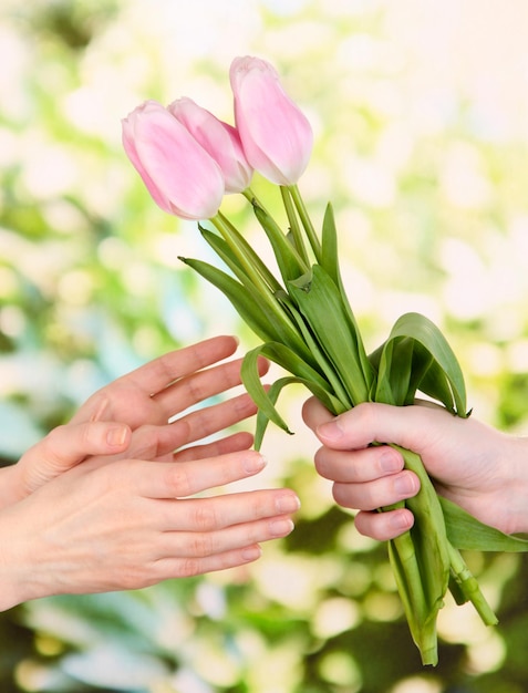 Mans ręka daje kobiecej dłoni bukiet kwiatów z tulipanami, na zielonym tle